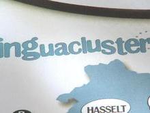 Bilan du  Lingua Cluster 