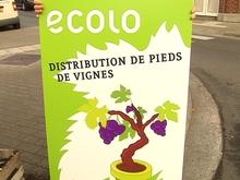 Journée de l'arbre à Seraing