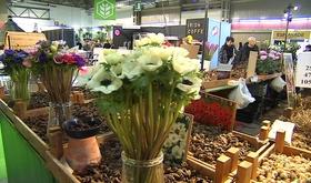 Jardin Expo à la FIL