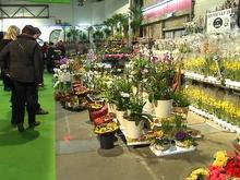 Jardin expo : 20 000 visiteurs