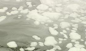 Pollution sur la Meuse