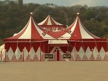 Le cirque Firmin Bouglione s'installe à Liège