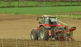 Plantation des vignes du  Vin de Liège 