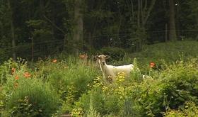 Nouvelle réserve naturelle