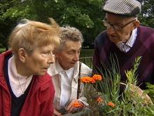Seniors : les joies retrouvées du potager