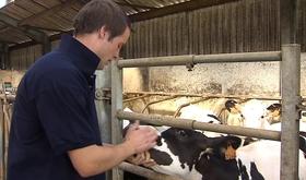 De plus en plus difficile d'être jeune agriculteur