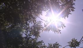 Une belle journée de vacances