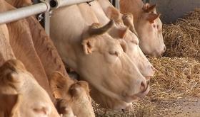 Découverte d'une ferme à Florzé