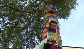 Yarn bombing