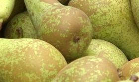 Nouveau procédé pour utiliser moins de pesticides