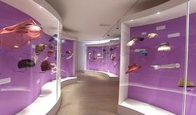 Lancement de l'exposition  Une vie de chapeaux. Un chapeau pour chaque tête? 