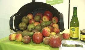 Wanze : salon du développement durable