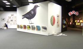 Expo aux Chiroux : de Pittau à Gervais