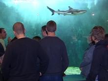 L'Aquarium de l'Université de Liège a 50 ans