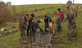 Chantier participatif au verger