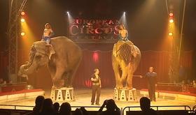 Le festival européen du cirque à Liège