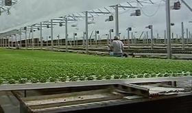 VERDIR : reconversion verte pour le bassin liégeois