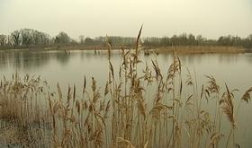 Hollogne-sur-Geer : chantier nature en faveur de la biodiversité
