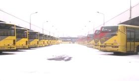 Les bus sont restés au dépôt ce mardi matin