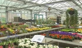 Météo : les jardineries souffrent aussi