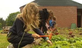 Harzé : les écoliers participent à un projet nature et biodiversité