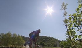 Potagers : le soleil y fait du bien aussi !