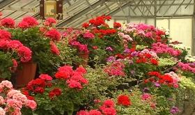 Ecole d'horticulture : journées portes ouvertes
