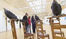 A la découverte de l'Académie Royale des Beaux-Arts