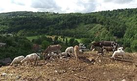 Aywaille : la réserve naturelle des Coteaux de Martinrive