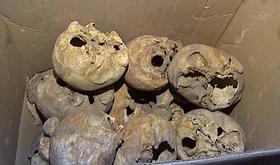 Des ossements abandonnés à Wandre ?