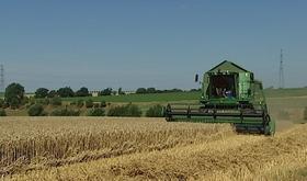 La moisson a démarré