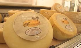 La fête du fromage à Harzé