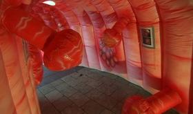 Visite de l'intérieur de votre intestin !