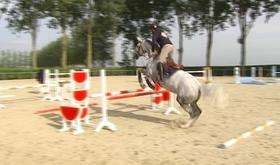 Champion de Belgique 2013 de saut d'obstacle