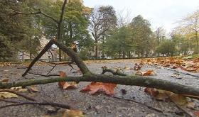 Intempéries : la Ville de Liège ferme ses parcs