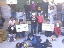 Une classe d'Angleur remporte un concours du WWF