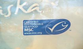 Semaine du poisson durable
