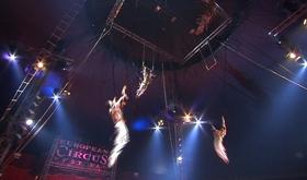 European Circus : un trapéziste accidenté