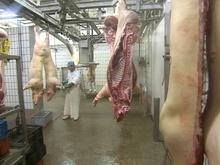 Abattoir des porcs : bientôt la fin des activités