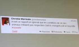 Monde sauvage : polémique après un tweet