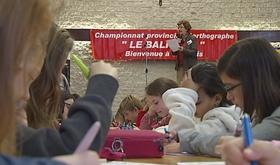 Dictée du Balfroid : demi-finale à Vivegnis