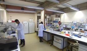 L'Université de Liège va contribuer à découvrir de nouveaux antibiotiques
