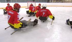 Présentation du sledge hockey