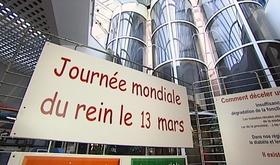 Seraing : journée mondiale du rein