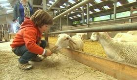 Fermes Ouvertes : découvrir les fermes et leur production