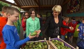 Aywaille : 1500 élèves reçoivent des poires