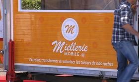 Récolter son miel grâce à la Miellerie Mobile de la Province