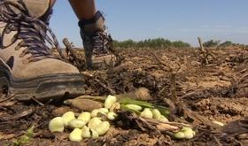 Les agriculteurs s'activent