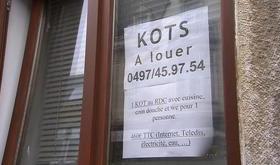 C'est la saison de la chasse aux kots