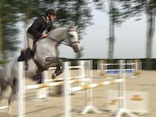Equitation: Grégory Wathelet vice-champion d'Europe